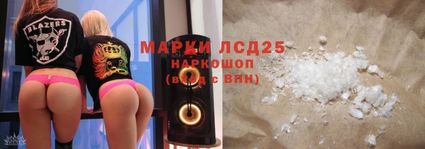 индика Богородицк