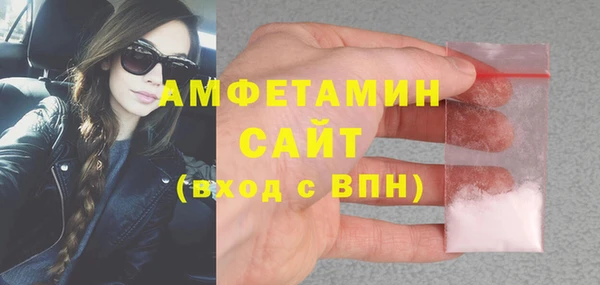 шишки Белокуриха