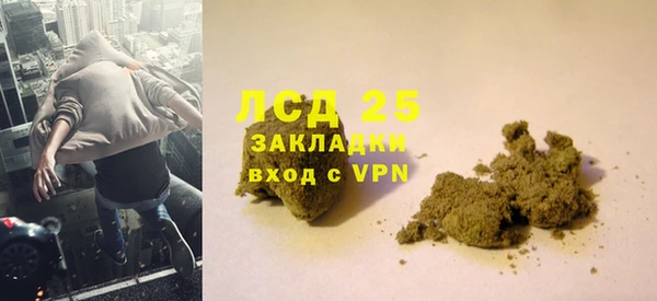 шишки Белокуриха