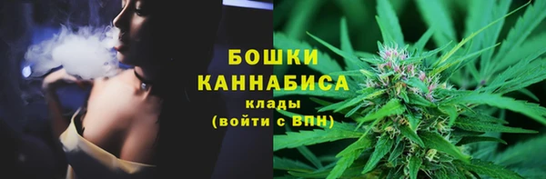 шишки Белокуриха