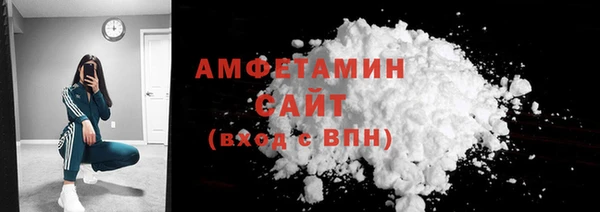 индика Богородицк