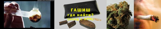 шишки Белокуриха