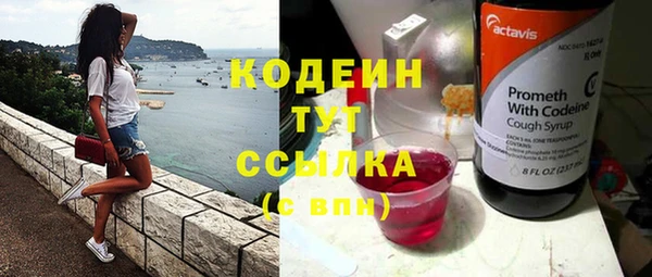шишки Белокуриха