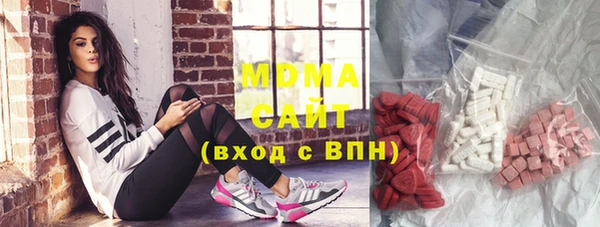 шишки Белокуриха